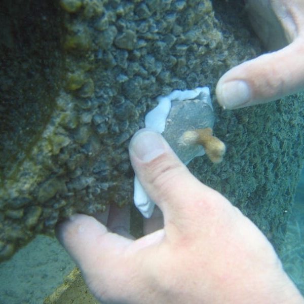 Underwater Metal Repair