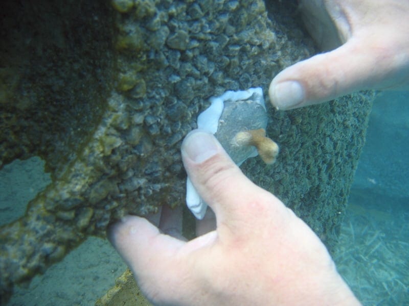 Underwater Putty stick Epoxy MMETAL 500 MaxKote UK